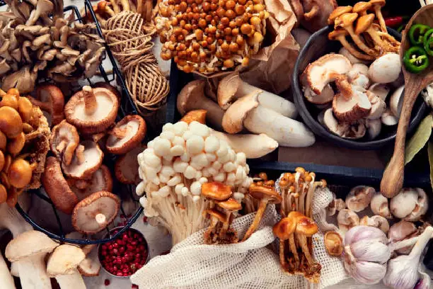 thumbnail_istockphoto-1055615244-612x612