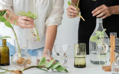 The Science Behind Plant-Based Medicine and Its Benefits